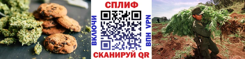 Canna-Cookies марихуана  Мураши 