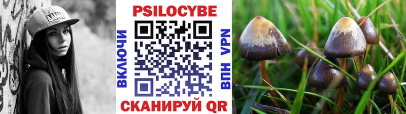 ОМГ ОМГ сайт  Мураши  Псилоцибиновые грибы GOLDEN TEACHER 